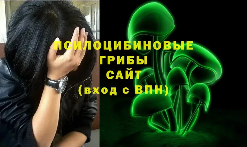 блэк спрут как войти  Калуга  Галлюциногенные грибы Psilocybe 